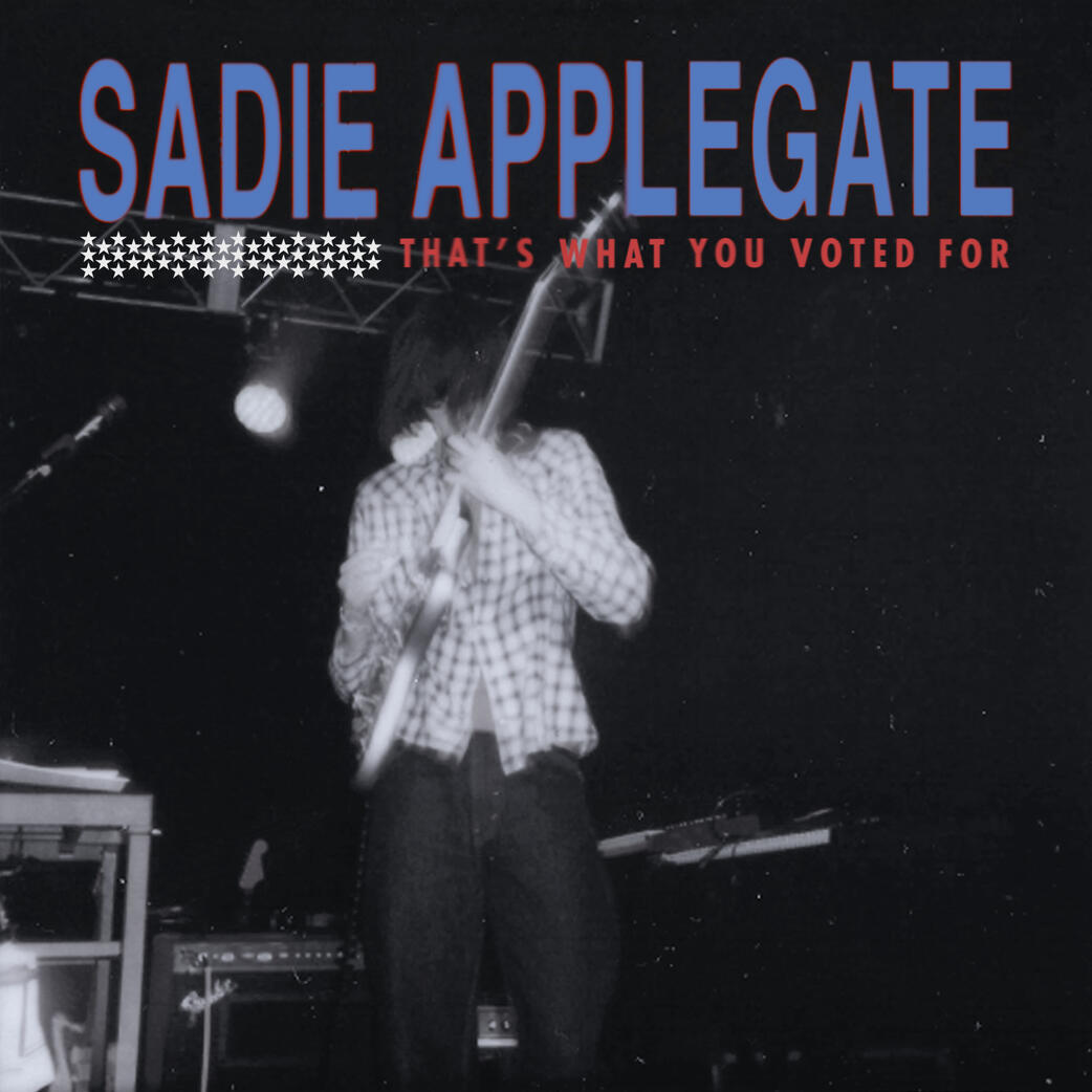 That&#39;s What You Voted For